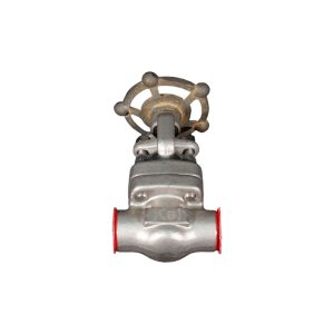 Globe Valve