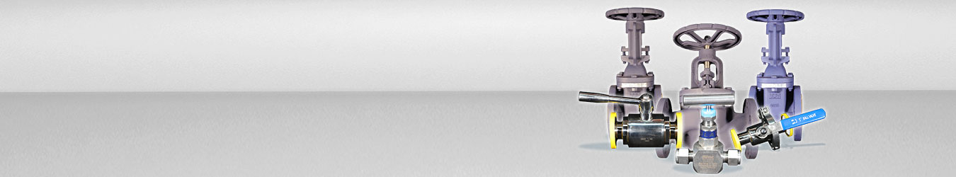 Valves-1350x250